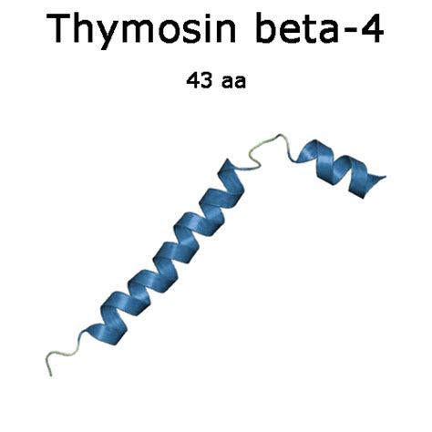 thymosin beta-4